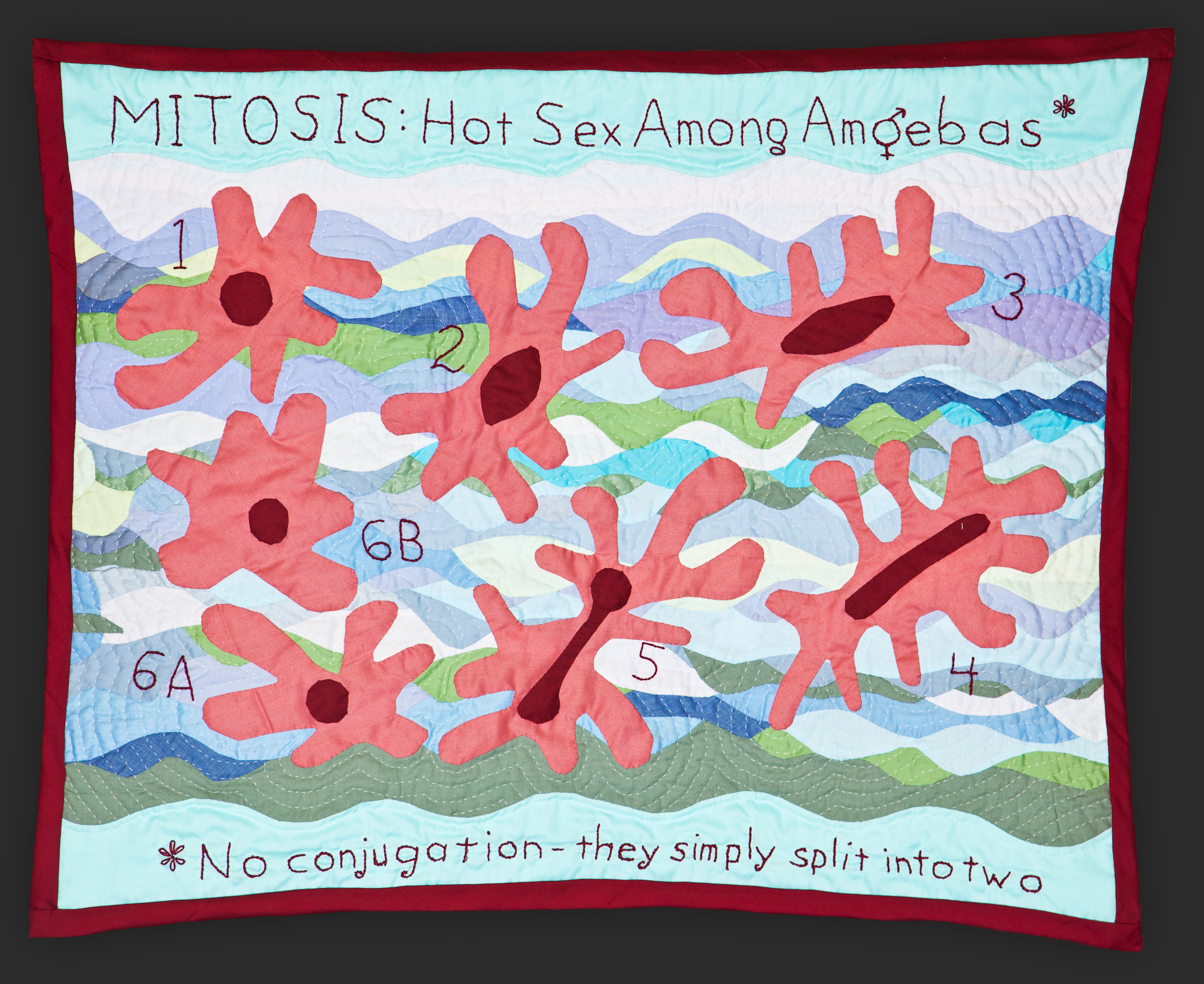 Mitosis: Hot Sex Among Amoebas detail